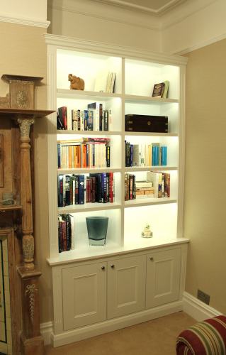 bookcase with light